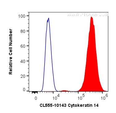 Flow cytometry (FC) experiment of A431 cells using CoraLite® Plus 555-conjugated Cytokeratin 14 Polyc (CL555-10143)