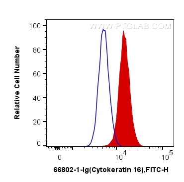 Flow cytometry (FC) experiment of A431 cells using Cytokeratin 16 Monoclonal antibody (66802-1-Ig)