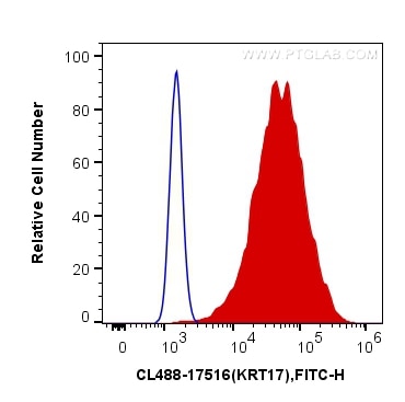 Flow cytometry (FC) experiment of HeLa cells using CoraLite® Plus 488-conjugated Cytokeratin 17-Speci (CL488-17516)