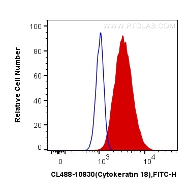 Flow cytometry (FC) experiment of HeLa cells using CoraLite® Plus 488-conjugated Cytokeratin 18 Polyc (CL488-10830)