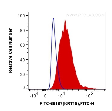 Flow cytometry (FC) experiment of HeLa cells using FITC-conjugated Cytokeratin 18 Monoclonal antibody (FITC-66187)