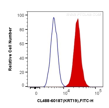 Flow cytometry (FC) experiment of HeLa cells using CoraLite® Plus 488-conjugated Cytokeratin 19 Monoc (CL488-60187)
