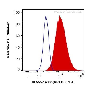 Flow cytometry (FC) experiment of MCF-7 cells using CoraLite®555-conjugated Cytokeratin 19 Polyclonal  (CL555-14965)