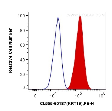 Flow cytometry (FC) experiment of HeLa cells using CoraLite®555-conjugated Cytokeratin 19 Monoclonal  (CL555-60187)