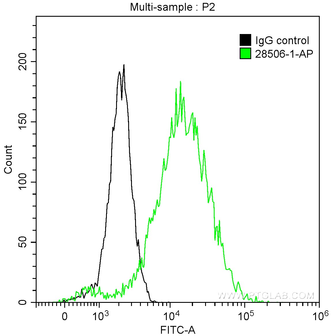 FC experiment of A431 using 28506-1-AP