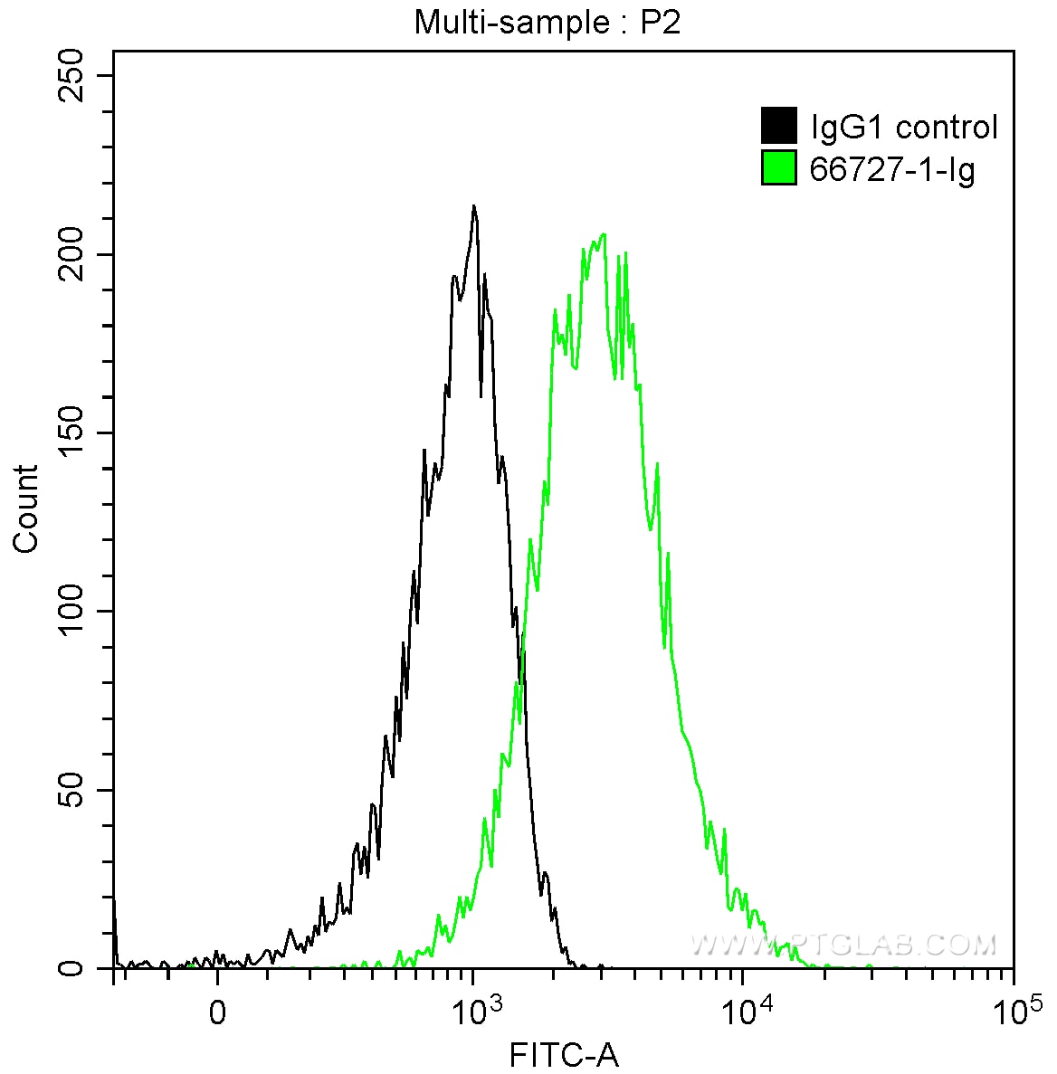Flow cytometry (FC) experiment of A431 cells using Cytokeratin 5 Monoclonal antibody (66727-1-Ig)