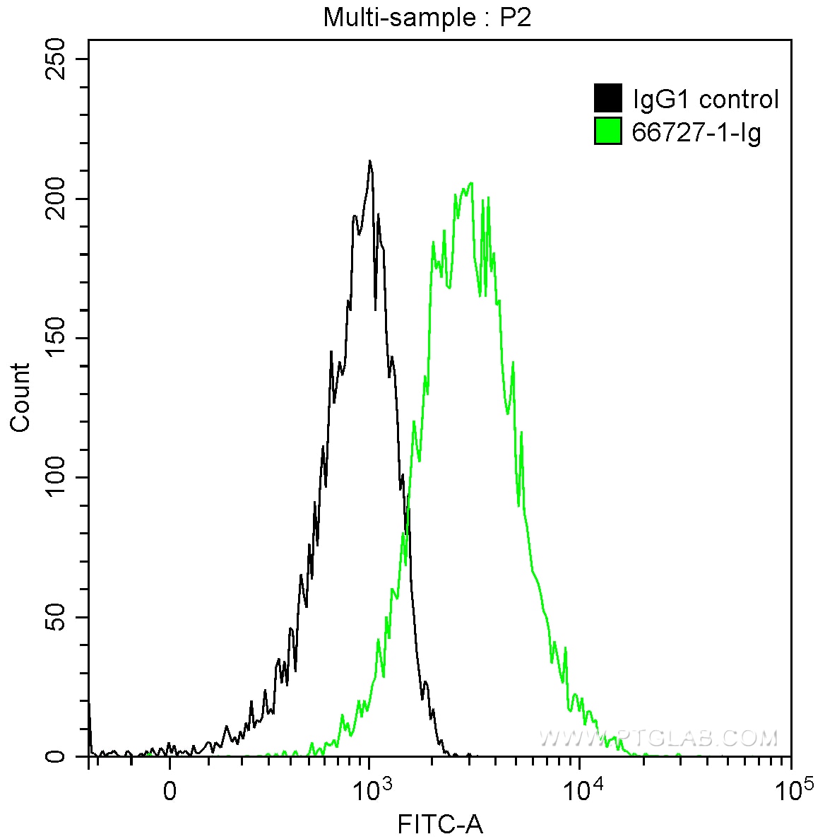 FC experiment of A431 using 66727-1-Ig