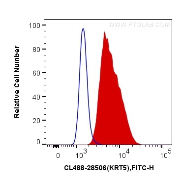 Flow cytometry (FC) experiment of A431 cells using CoraLite® Plus 488-conjugated Cytokeratin 5 Polycl (CL488-28506)
