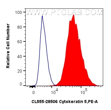 Flow cytometry (FC) experiment of A431 cells using CoraLite®555-conjugated Cytokeratin 5 Polyclonal a (CL555-28506)