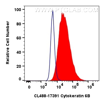 Flow cytometry (FC) experiment of HeLa cells using CoraLite® Plus 488-conjugated human Cytokeratin 6B (CL488-17391)