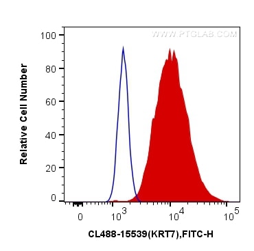 Flow cytometry (FC) experiment of HeLa cells using CoraLite® Plus 488-conjugated Cytokeratin 7 Polycl (CL488-15539)