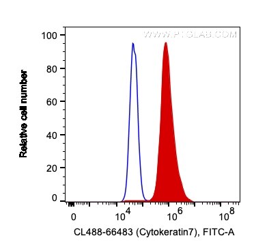 Flow cytometry (FC) experiment of HeLa cells using CoraLite® Plus 488-conjugated Cytokeratin 7 Monocl (CL488-66483)