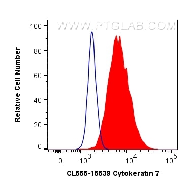 Flow cytometry (FC) experiment of HeLa cells using CoraLite®555-conjugated Cytokeratin 7 Polyclonal a (CL555-15539)