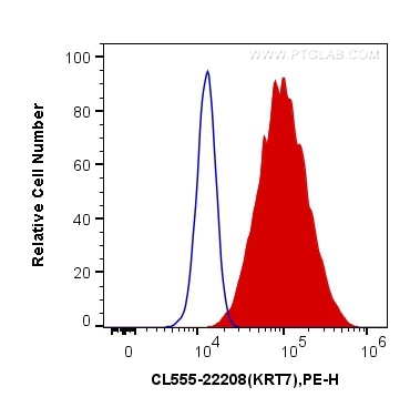 Flow cytometry (FC) experiment of HeLa cells using CoraLite®555-conjugated Cytokeratin 7 Polyclonal a (CL555-22208)