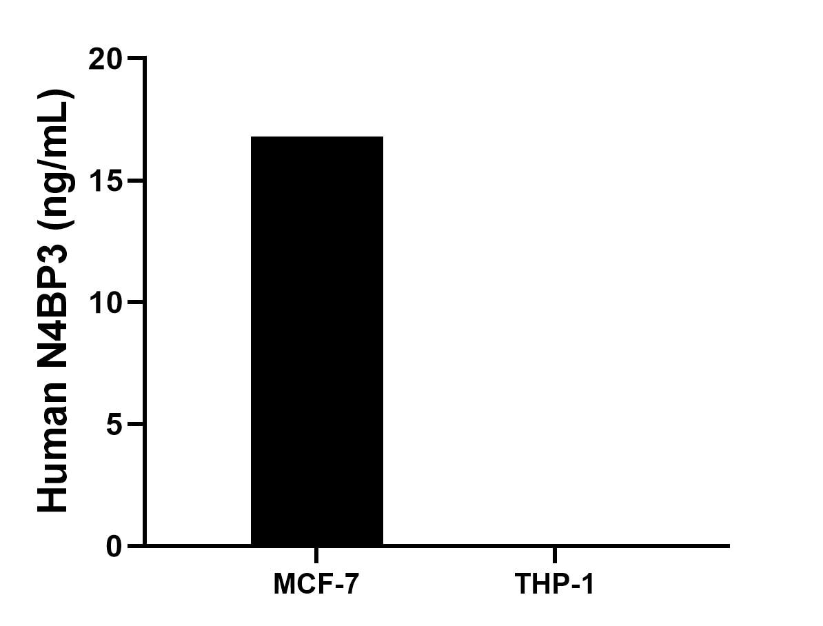 Cytometric bead array sample test of MP00260-2 Cytometric bead array sample test of MP00260-2