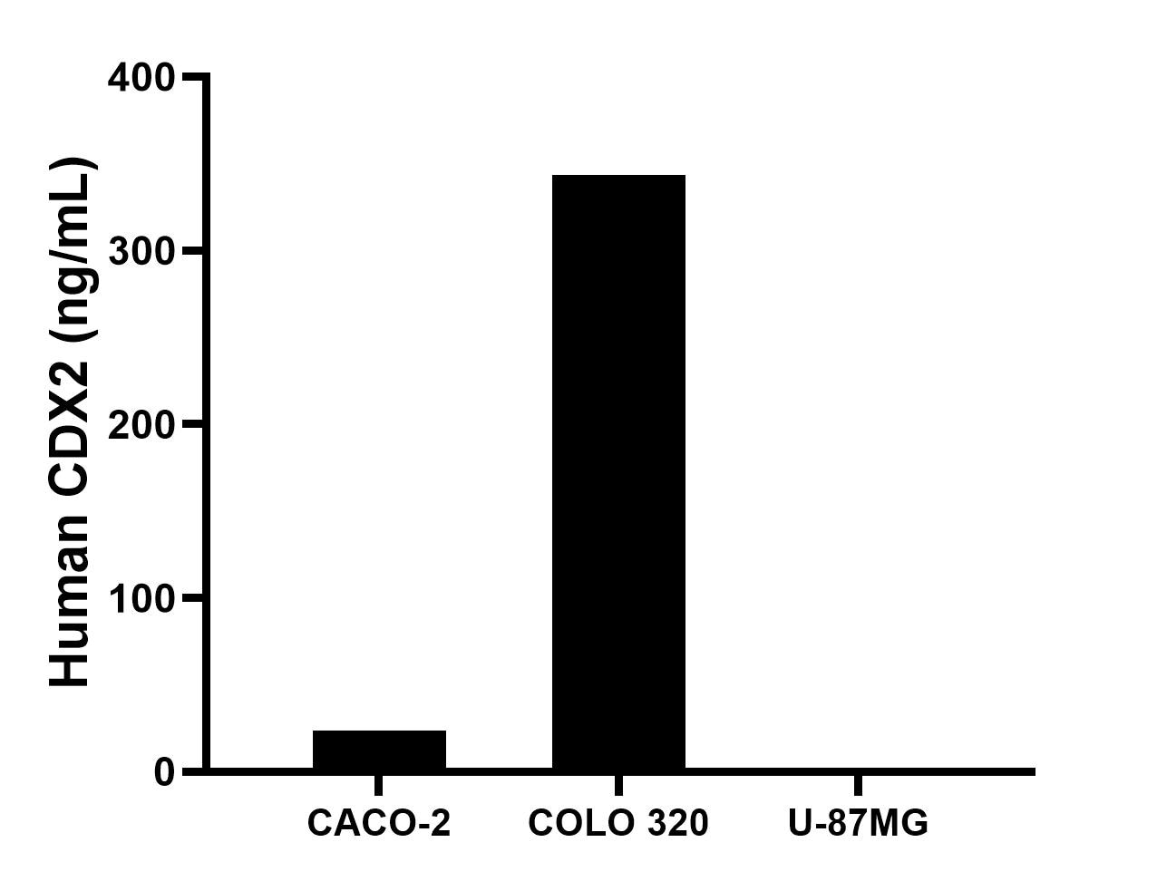 The mean CDX2 concentration was determined to be 23.7 ng/mL in CACO-2 cell extract based on a 1.2 mg/mL extract load, 343.3 ng/mL in COLO 320 cell extract based on a 1.2 mg/mL extract load, U-87MG cell extract were served as a negative control.