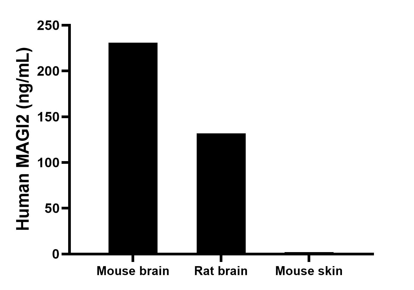 The mean MAGI2 concentration was determined to be 230.8 ng/mL in mouse brain tissue extract based on a 6.3 mg/mL extract load, 131.7 ng/mL in rat brain tissue extract based on a 8.2 mg/mL extract load, mouse skin tissue extract were served as a negative control. Cytometric bead array sample test of MP00529-3