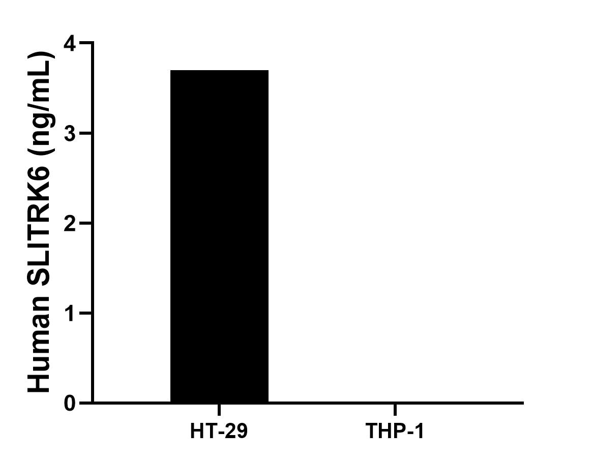 The mean SLITRK6 concentration was determined to be 3.7 ng/mL in HT-29 cell extract based on a 1.2 mg/mL extract load, THP-1 cell extract were served as a negative control. The mean SLITRK6 concentration was determined to be 3.7 ng/mL in HT-29 cell extract based on a 1.2 mg/mL extract load, THP-1 cell extract were served as a negative control.