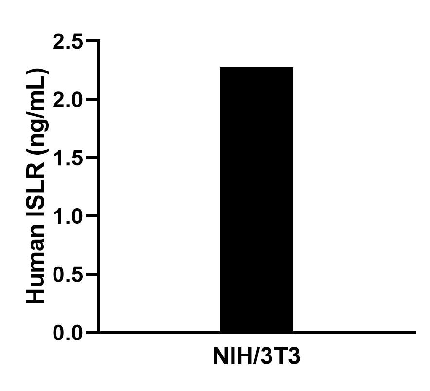 The mean ISLR concentration was determined to be 2.3 ng/mL in NIH/3T3 cell extract based on a 1.2 mg/mL extract load. The mean ISLR concentration was determined to be 2.3 ng/mL in NIH/3T3 cell extract based on a 1.2 mg/mL extract load.