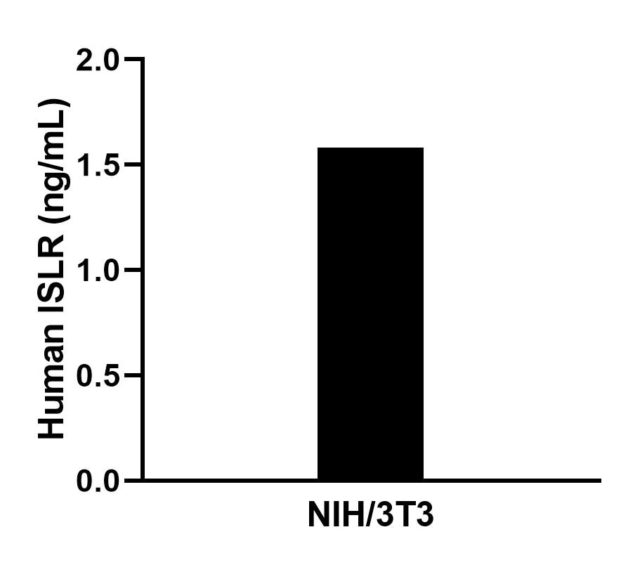 The mean ISLR concentration was determined to be 1.6 ng/mL in NIH/3T3 cell extract based on a 1.2 mg/mL extract load. The mean ISLR concentration was determined to be 1.6 ng/mL in NIH/3T3 cell extract based on a 1.2 mg/mL extract load.
