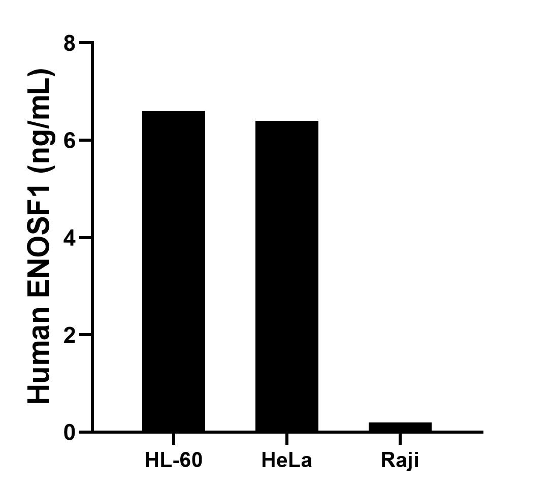 Cytometric bead array sample test of MP00758-1