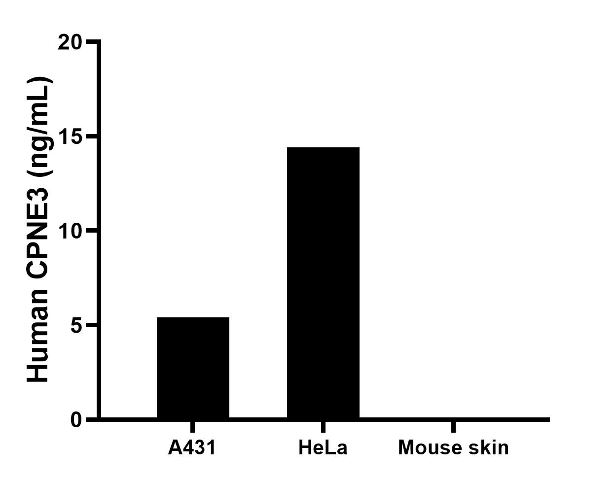 The mean CPNE3 concentration was determined to be 5.4 ng/mL in A431 cell extract based on a 1.5 mg/mL extract load, 14.4 ng/mL in HeLa cell extract based on a 1.2 mg/mL extract load, mouse skin tissue extract were served as a negative control.