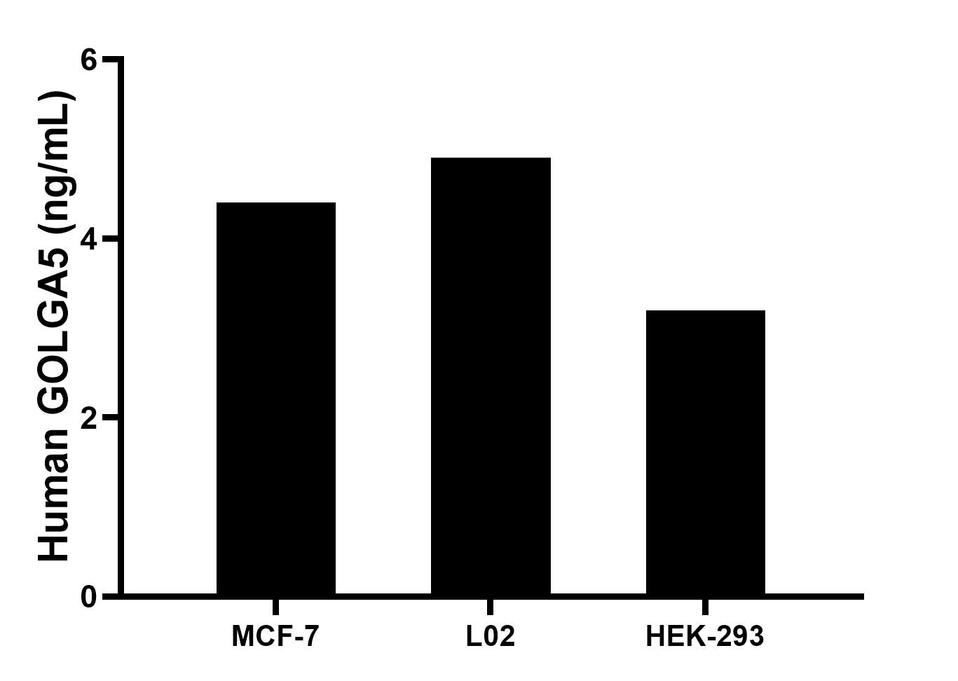 The mean GOLGA5 concentration was determined to be 4.4 ng/mL in MCF-7 cell extract based on a 1.2 mg/mL extract load, 4.9 ng/mL in L02 cell extract based on a 1.2 mg/mL extract load, 3.2 ng/mL in HEK-293 cell extract based on a 1.2 mg/mL extract load. The mean GOLGA5 concentration was determined to be 4.4 ng/mL in MCF-7 cell extract based on a 1.2 mg/mL extract load, 4.9 ng/mL in L02 cell extract based on a 1.2 mg/mL extract load, 3.2 ng/mL in HEK-293 cell extract based on a 1.2 mg/mL extract load.