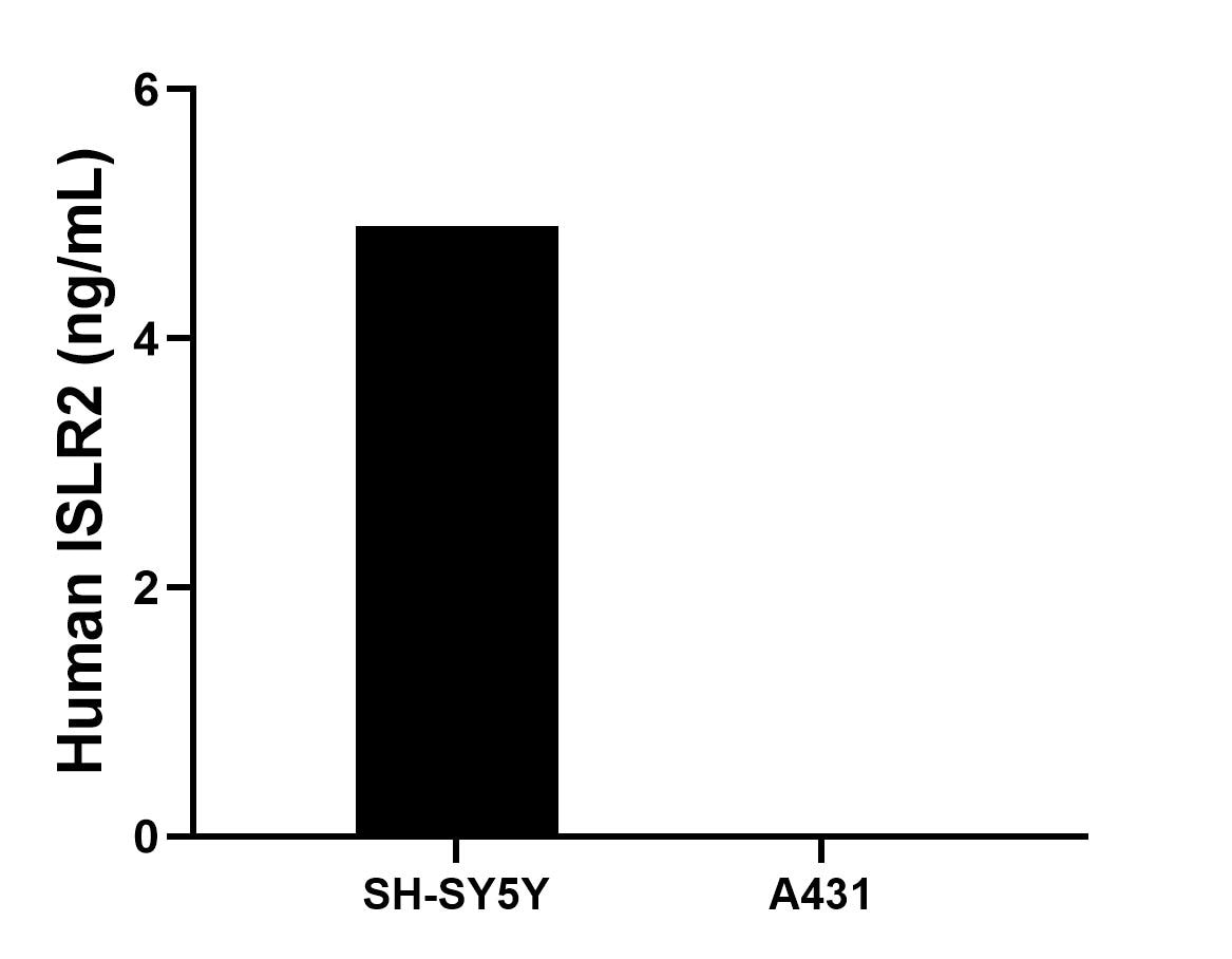 Cytometric bead array sample test of MP00978-1