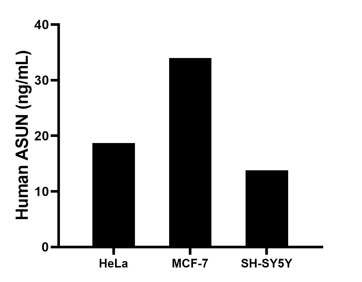 The mean ASUN concentration was determined to be 18.7 ng/mL in HeLa cell extract based on a 1.2 mg/mL extract load, 34.0 ng/mL in MCF-7 cell extract based on a 1.2 mg/mL extract load, 13.8 ng/mL in SH-SY5Y cell extract based on a 1.2 mg/mL extract load. The mean ASUN concentration was determined to be 18.7 ng/mL in HeLa cell extract based on a 1.2 mg/mL extract load, 34.0 ng/mL in MCF-7 cell extract based on a 1.2 mg/mL extract load, 13.8 ng/mL in SH-SY5Y cell extract based on a 1.2 mg/mL extract load.