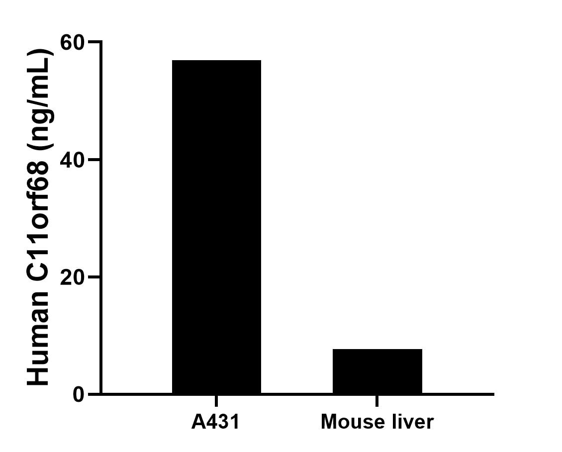 Cytometric bead array sample test of MP01522-2