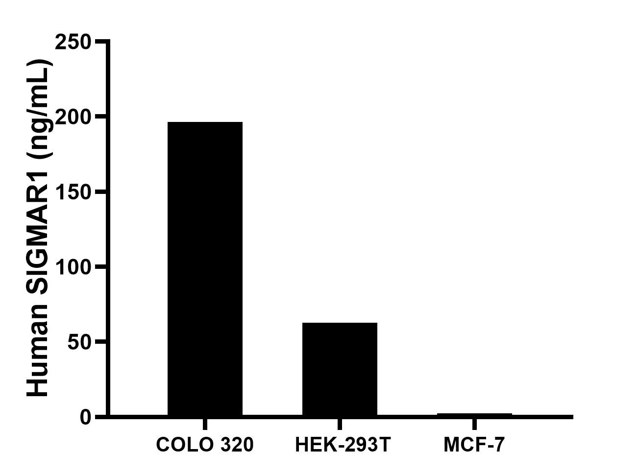 The mean SIGMAR1 concentration was determined to be 196.5 ng/mL in  COLO 320 cell extract based on a 1.2 mg/mL extract load, 62.8 ng/mL in HEK-293T cell extract based on a 1.2 mg/mL extract load, 2.5 ng/mL in MCF-7 cell extract based on a 1.2 mg/mL extract load.