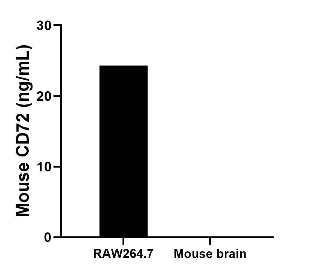 The mean CD72 concentration was determined to be 24.3 ng/mL in RAW264.7 cell extract based on a 1.5 mg/mL extract load. Mouse brain tissue extract were served as a negative control. The mean CD72 concentration was determined to be 24.3 ng/mL in RAW264.7 cell extract based on a 1.5 mg/mL extract load. Mouse brain tissue extract were served as a negative control.