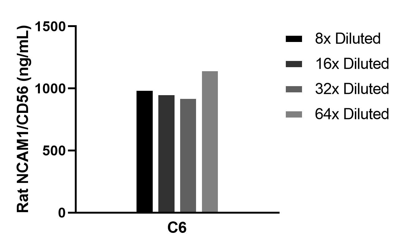 The mean NCAM1/CD56 concentration was determined to be 1011.1 ng/mL in C6 cell extract based on a 1.2 mg/mL extract load. The mean NCAM1/CD56 concentration was determined to be 1011.1 ng/mL in C6 cell extract based on a 1.2 mg/mL extract load.