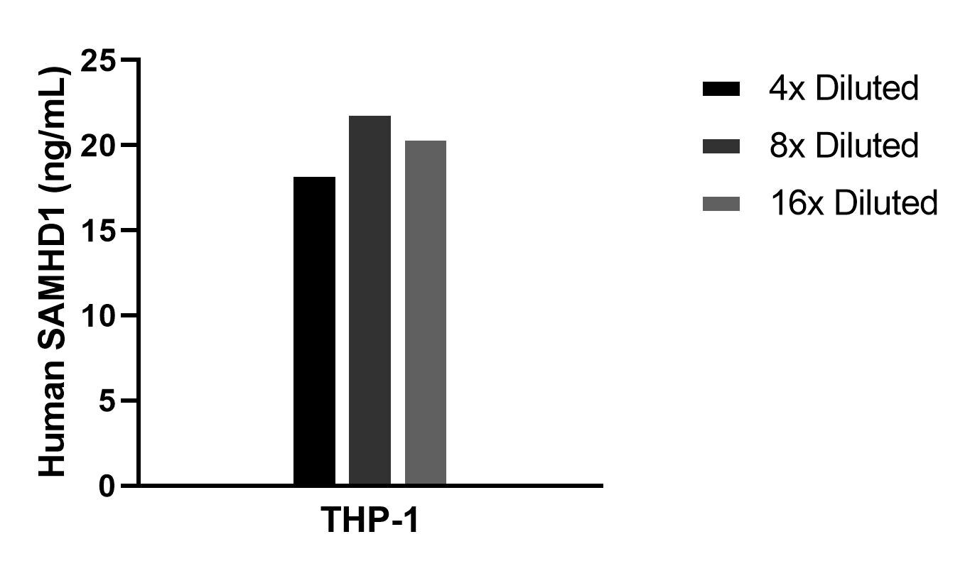 The mean SAMHD1 concentration was determined to be 20.3 ng/mL in THP-1 cell extract based on a 1.2 mg/mL extract load.