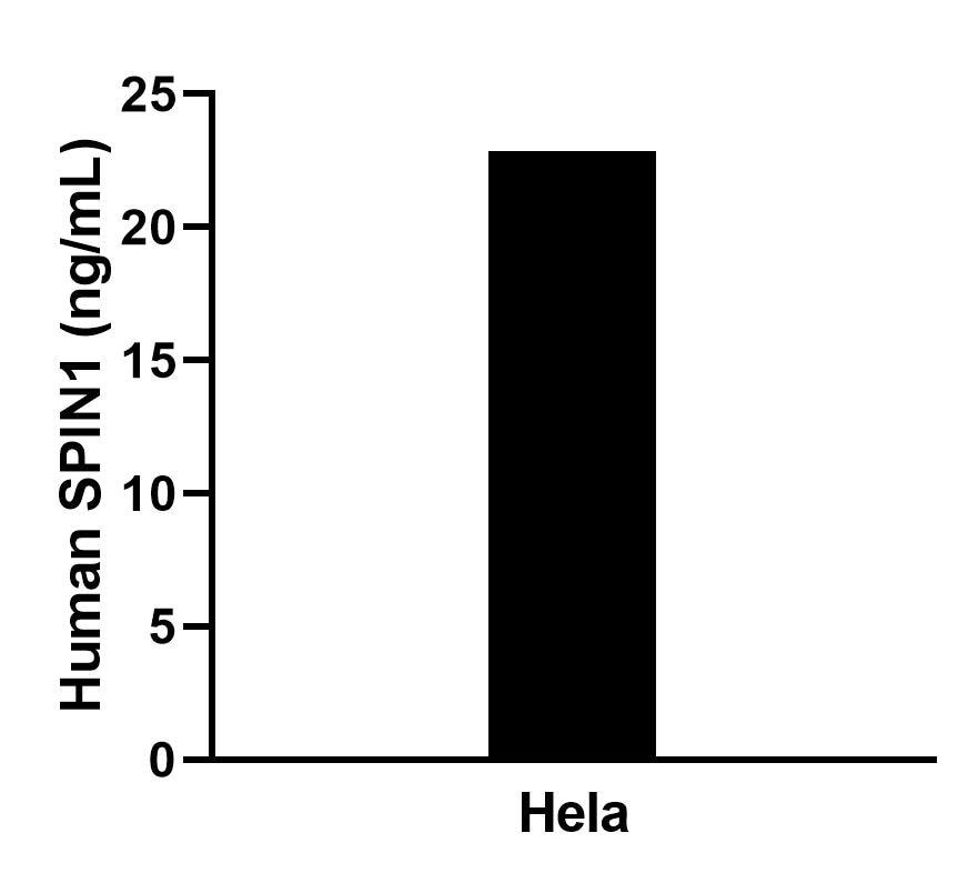 Cytometric bead array sample test of MP02730-1