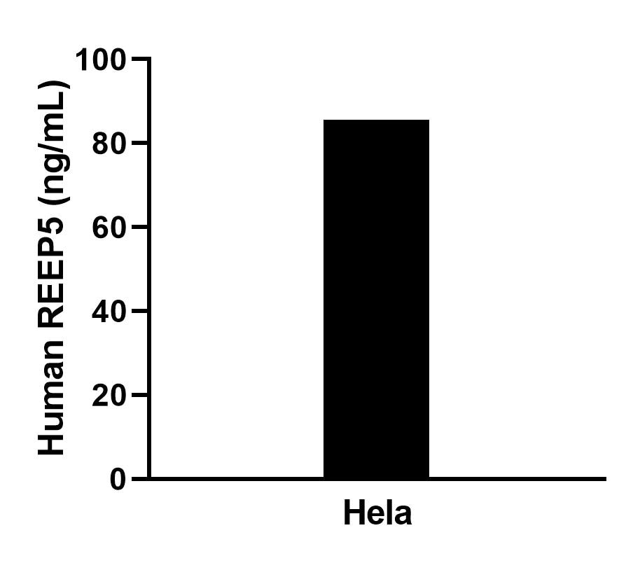 The mean REEP5 concentration was determined to be 86.6 ng/mL in Hela cell extract based on a 1.2 mg/mL extract load.