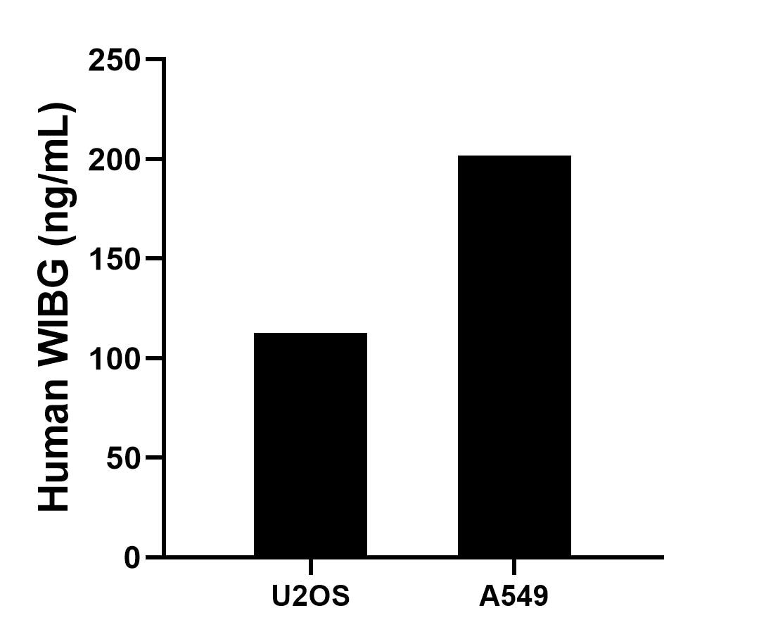 Cytometric bead array sample test of MP02733-1
