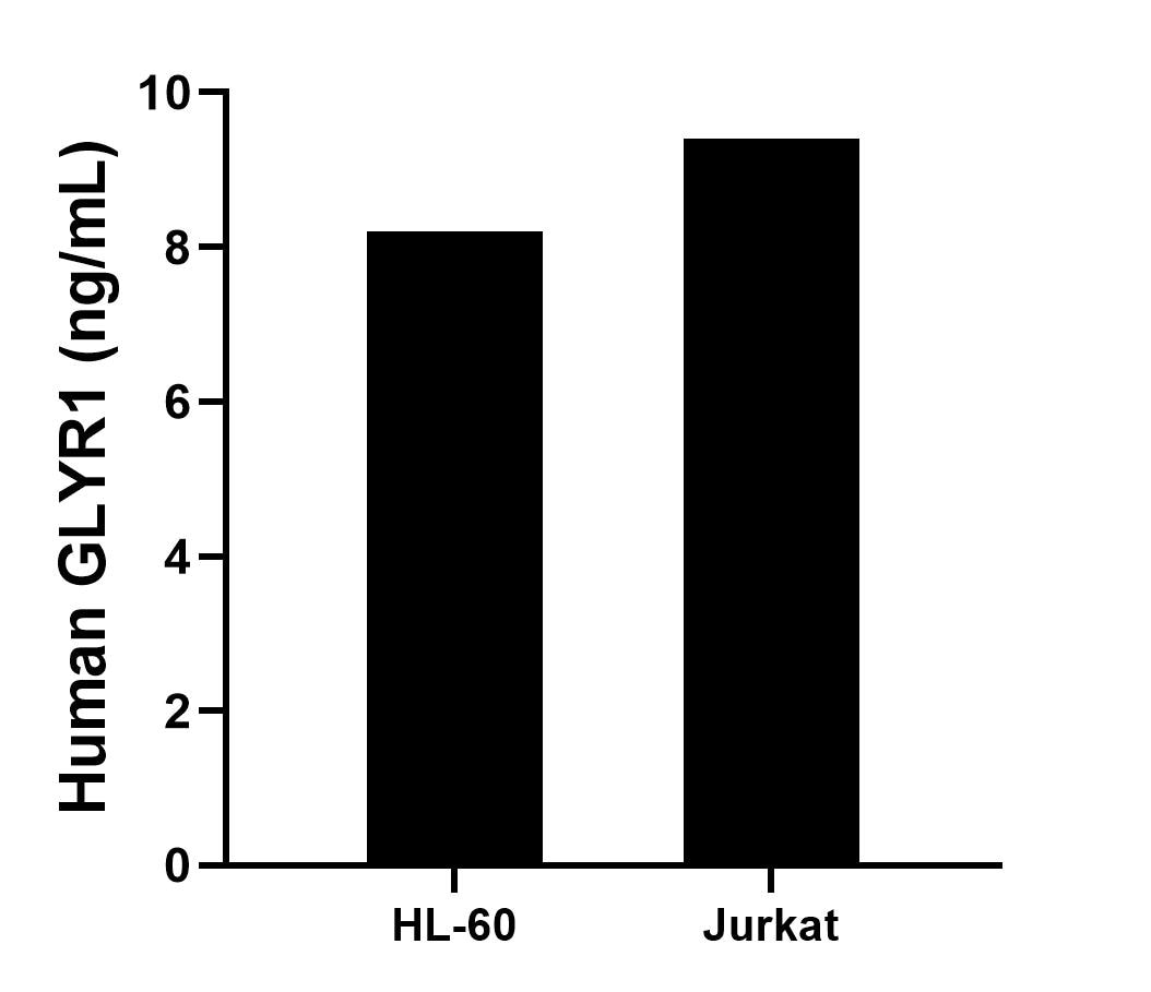 Cytometric bead array sample test of MP02739-1