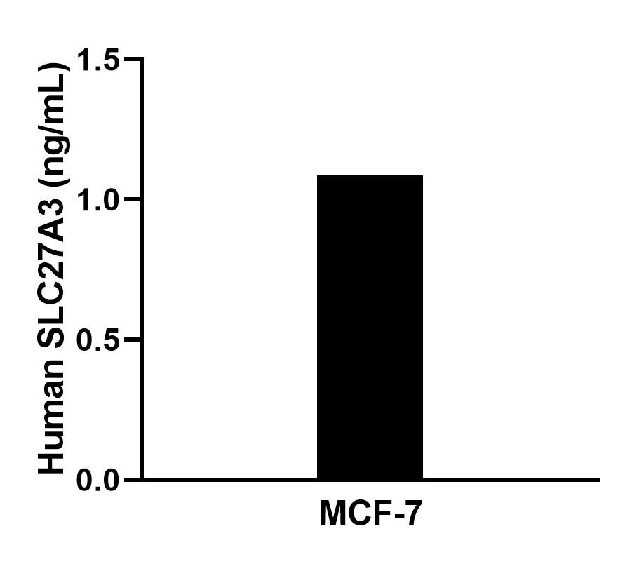 The mean SLC27A3 concentration was determined to be 1.1 ng/mL in MCF-7 cell extract based on a 1.2 mg/mL extract load. Cytometric bead array sample test of MP02758-1