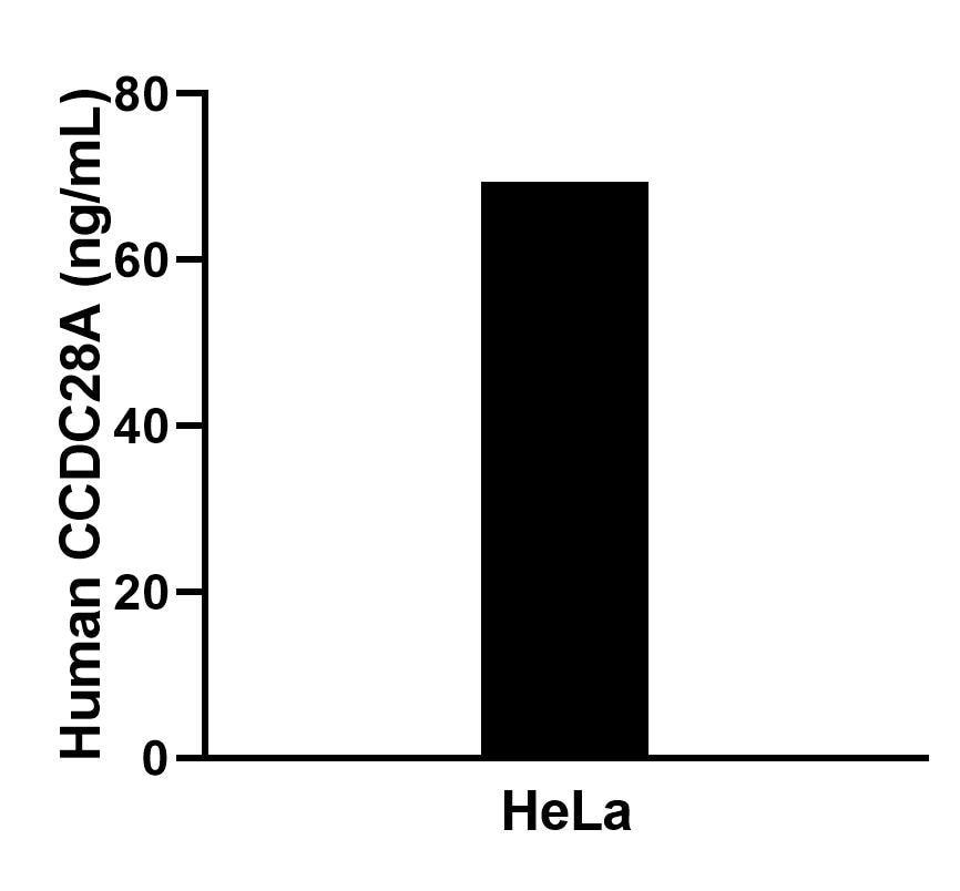 Cytometric bead array sample test of MP02764-1