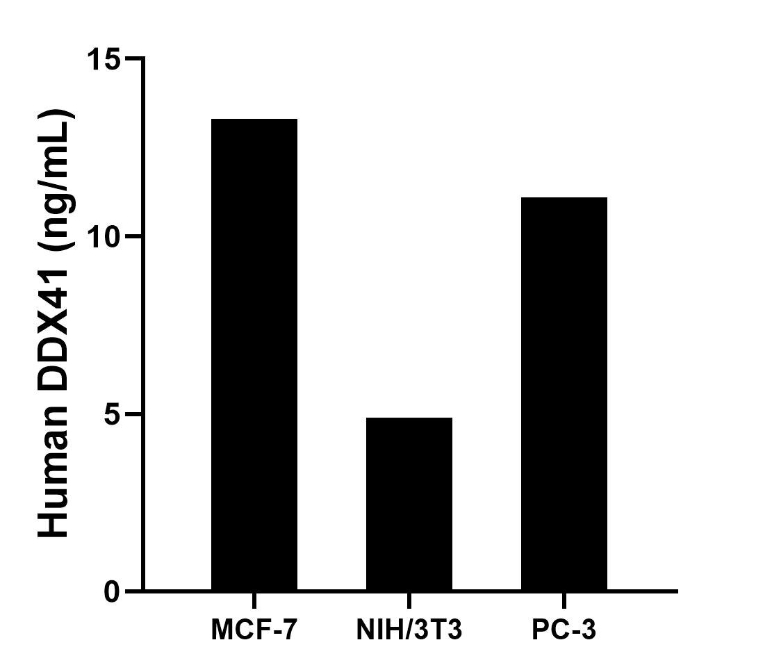 Cytometric bead array sample test of MP02765-1