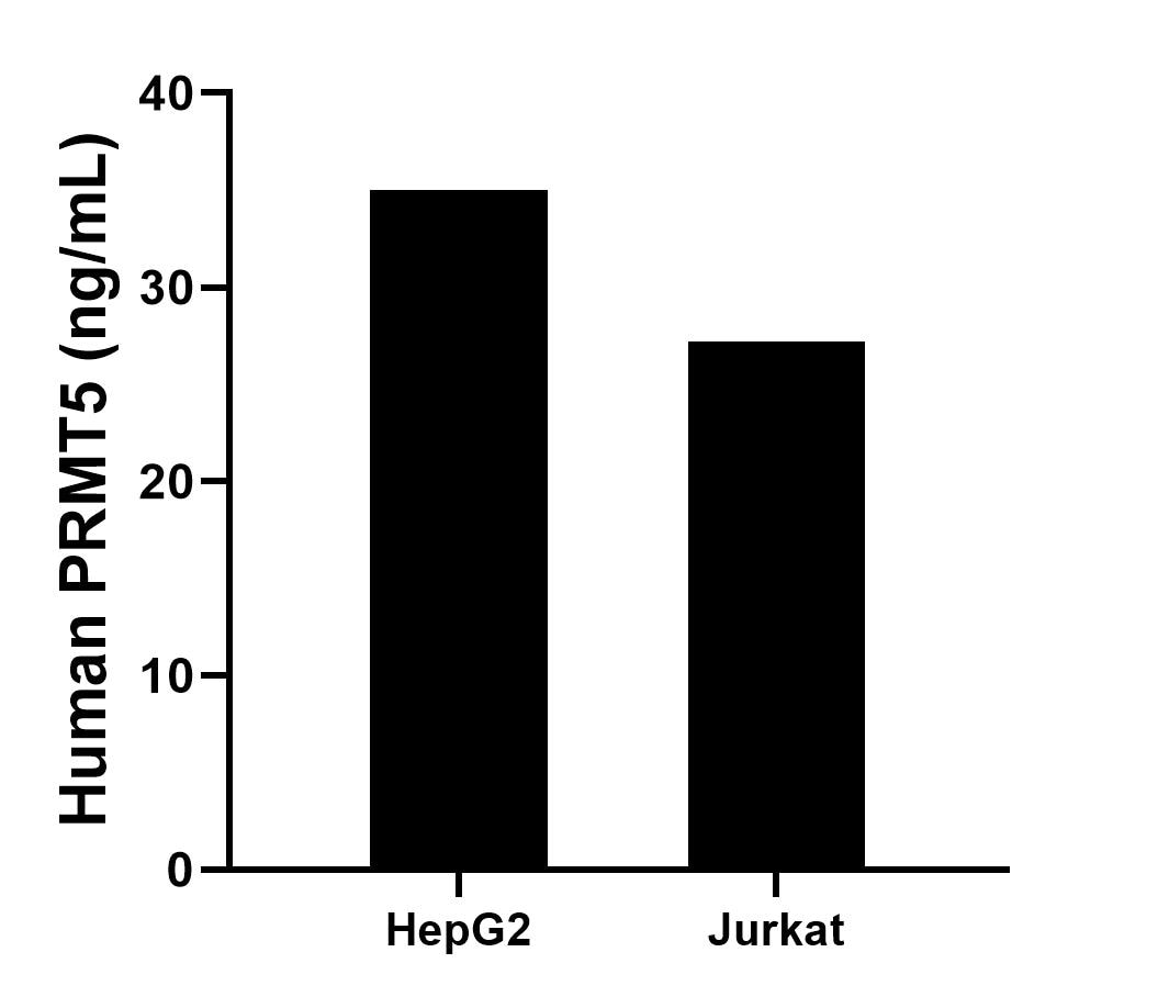 The mean PRMT5 concentration was determined to be 35.0 ng/mL in HepG2 cell extract based on a 1.2 mg/mL extract load, 27.2 ng/mL in Jurkat cell extract based on a 1.2 mg/mL extract load. Cytometric bead array sample test of MP02769-1