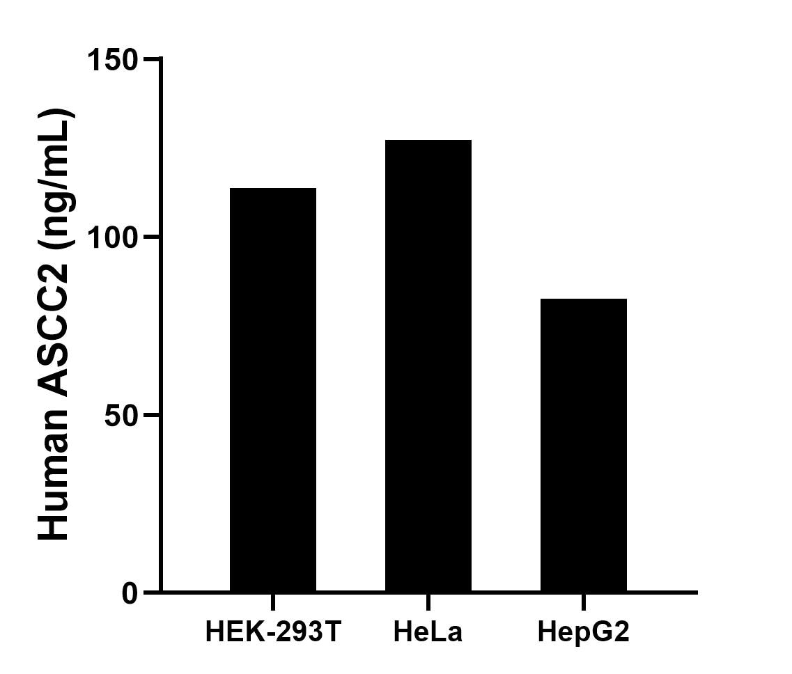 Cytometric bead array sample test of MP02784-1