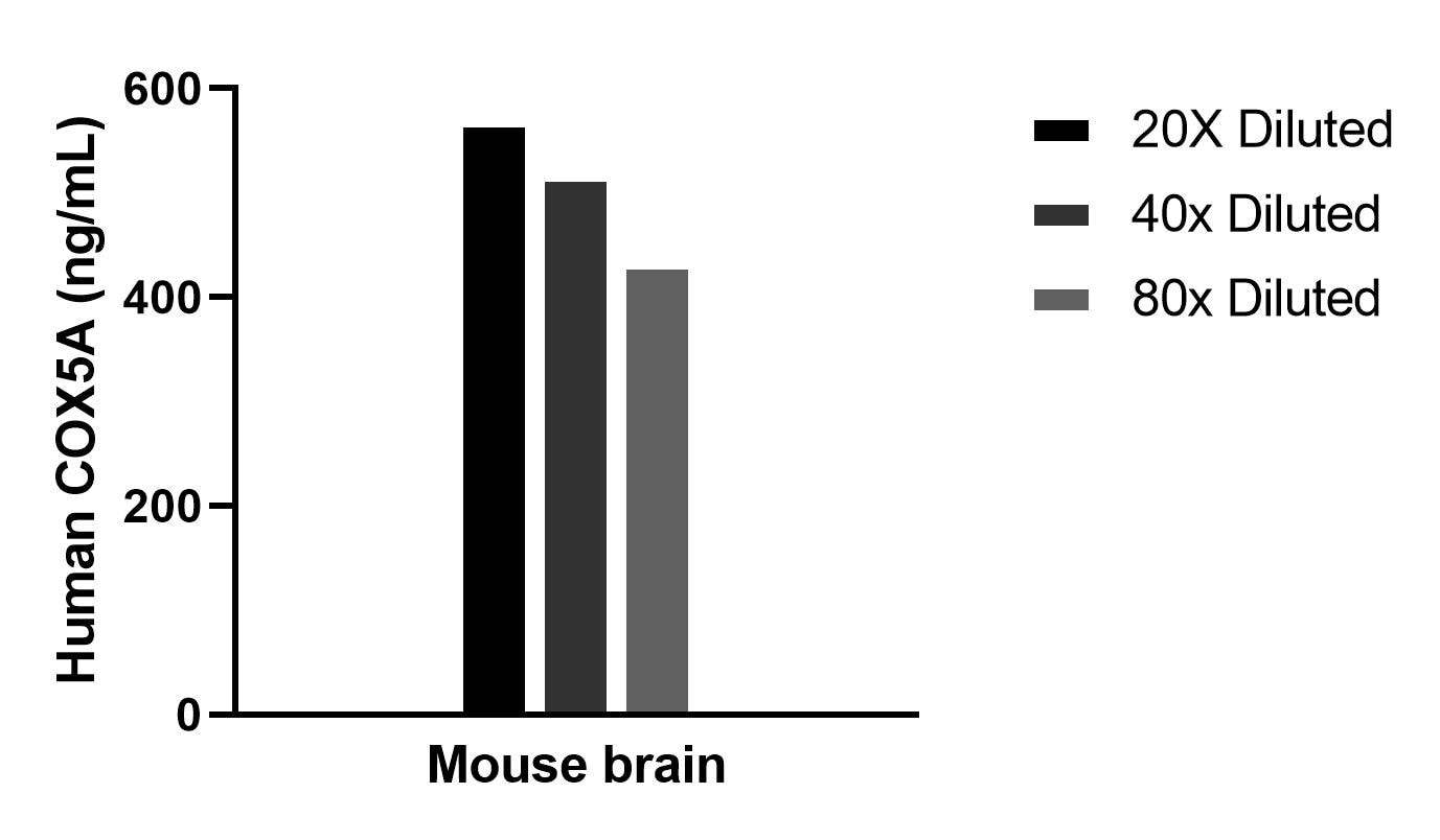 The mean COX5A concentration was determined to be 505.7 ng/mL in mouse brain tissue extract based on a 6.3 mg/mL extract load. The mean COX5A concentration was determined to be 505.7 ng/mL in mouse brain tissue extract based on a 6.3 mg/mL extract load.