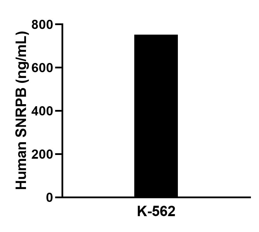 Cytometric bead array sample test of MP02787-1