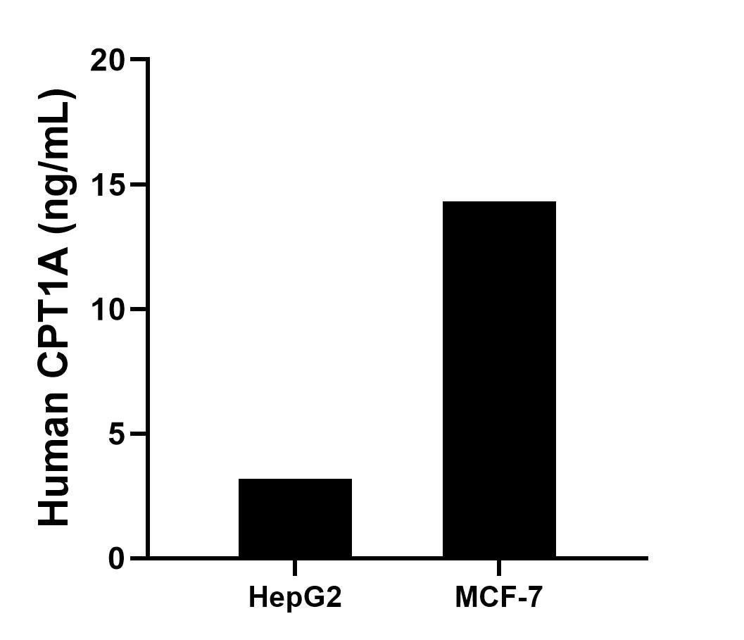 The mean CPT1A concentration was determined to be 3.2 ng/mL in HepG2 cell extract based on a 1.2 mg/mL extract load, 14.3 ng/mL in MCF-7 cell extract based on a 1.2 mg/mL extract load. 