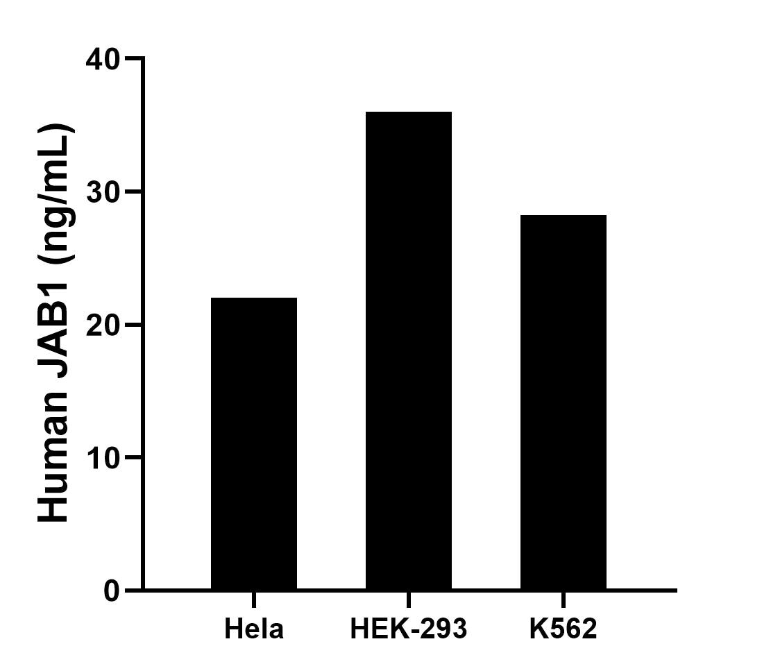 Cytometric bead array sample test of MP02823-1