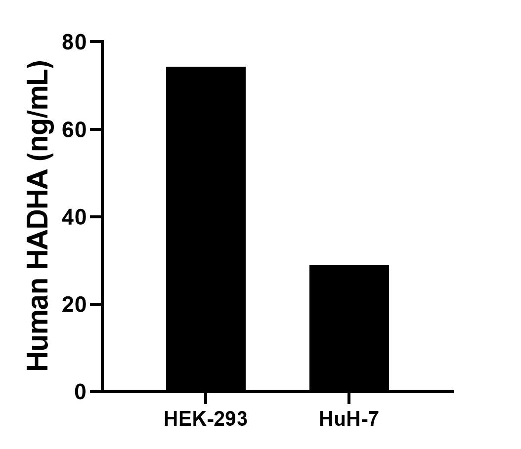The mean HADHA concentration was determined to be 74.3 ng/mL in HEK-293 cell extract based on a 1.2 mg/mL extract load, 29.0 ng/mL in HuH-7 cell extract based on a 1.2 mg/mL extract load. The mean HADHA concentration was determined to be 74.3 ng/mL in HEK-293 cell extract based on a 1.2 mg/mL extract load, 29.0 ng/mL in HuH-7 cell extract based on a 1.2 mg/mL extract load.