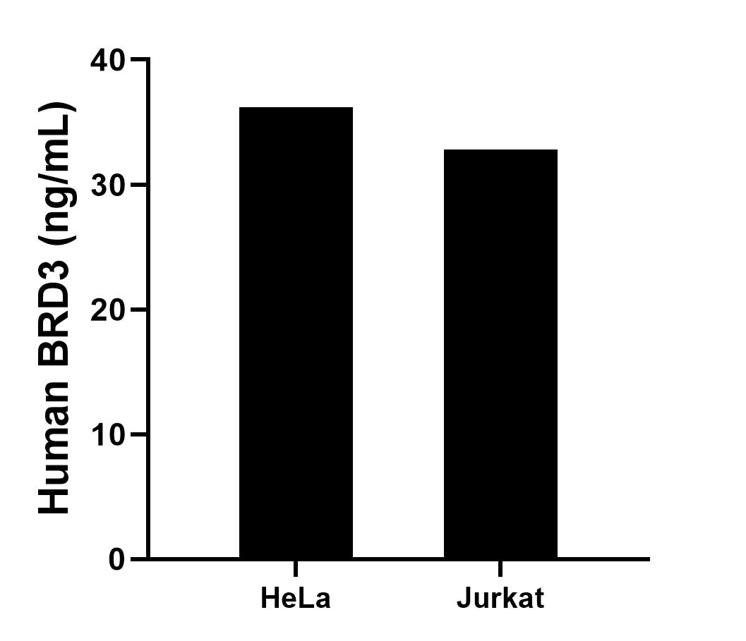 The mean BRD3 concentration was determined to be 36.2 ng/mL in HeLa cell extract based on a 1.2 mg/mL extract load, 32.8 ng/mL in Jurkat cell extract based on a 1.2 mg/mL extract load. Cytometric bead array sample test of MP02845-1