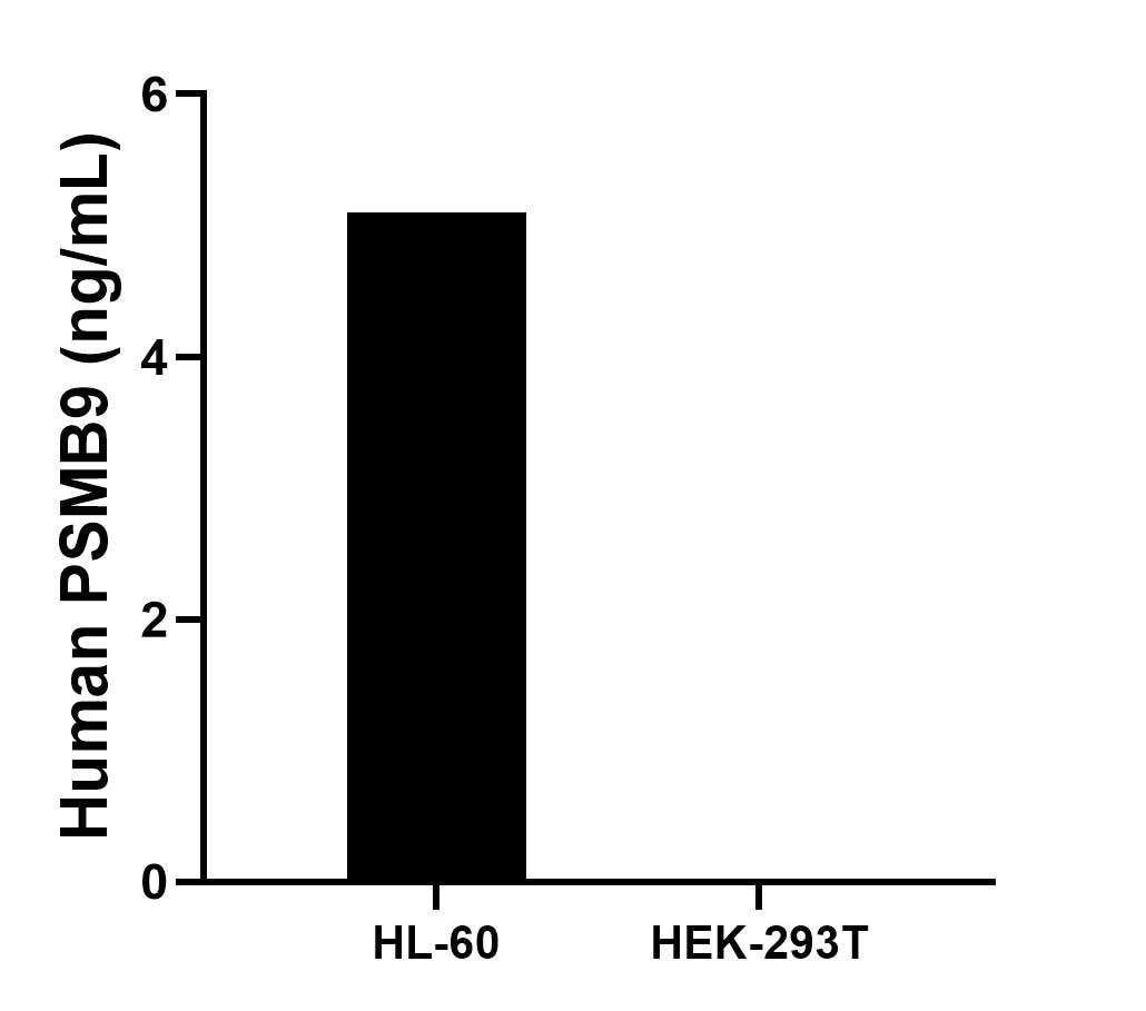 Cytometric bead array sample test of MP02846-1